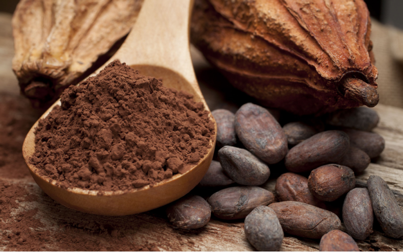 Choco-Lot of Fun: The Rich History and Health of Bean-to-Bar Chocolate